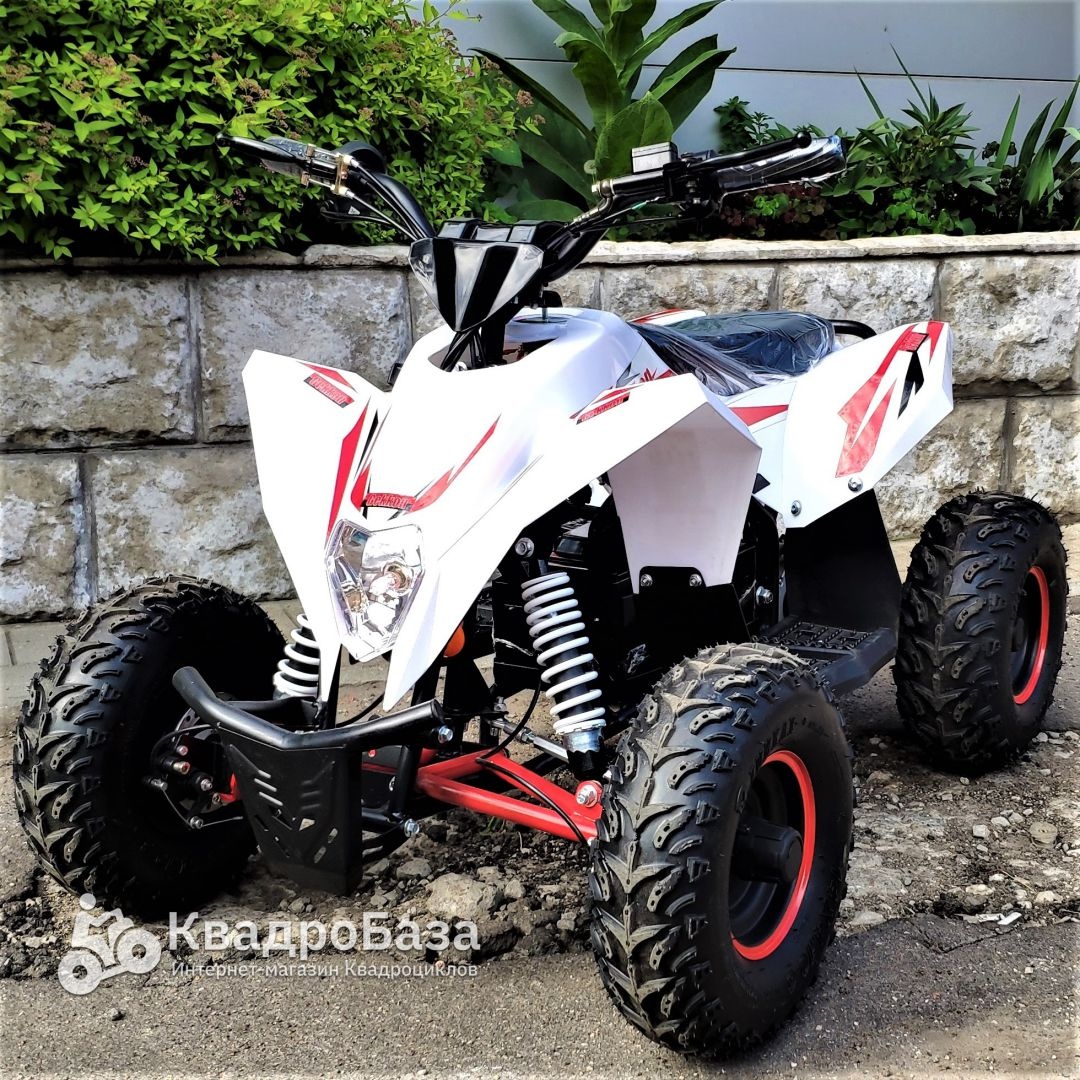 Детский электроквадроцикл Motax Gekkon 1300W